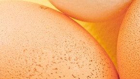 Foto: Anna Shvets/Pexels