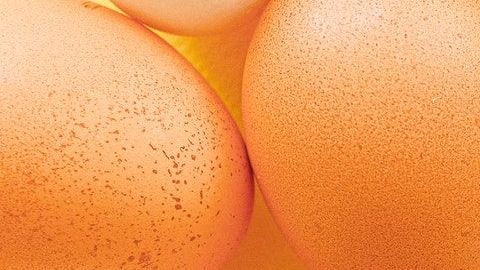 Foto: Anna Shvets/Pexels