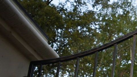 Un grupo de inmigrantes se encadenó a la mansión del gobernador Gavin Newsom para pedir la liberación de presos para prevenir el contagio de COVID-19. (Cortesía Brooke Anderson)