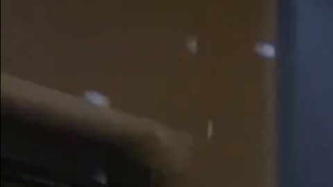 Las autoridades de Miami han recordado que están fiestas son ilegales y que se van a tomar acciones pertinentes.