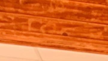 Andrés Webster junto con su esposa Patricia Cabrera y sus hijos Alfa, Andrés, y Aleph abrieron un café en medio de la pandemia. (Araceli Martínez/La Opinión)