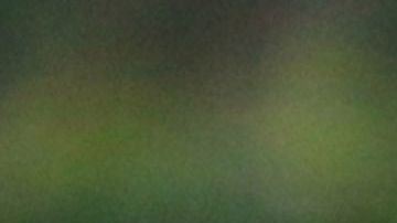 Rubén Omar Romano, técnico argentino.