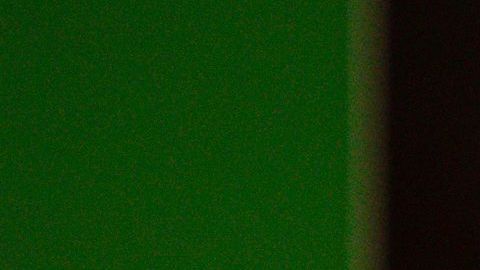 Guillermo Almada, entrenador del Santos.