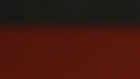 Bruno Marioni fue entrenador de los Pumas de enero a mayo del 2019.