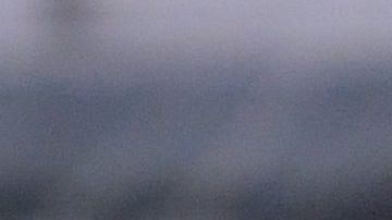 Muñoz llegó al América en 2019.