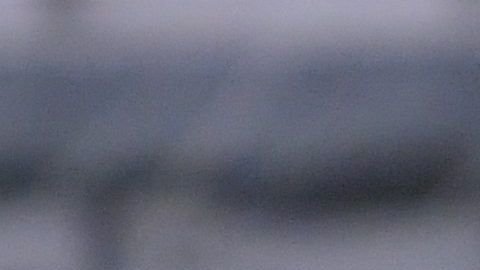 Muñoz llegó al América en 2019.