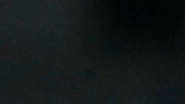 El América buscará la estrella 14.