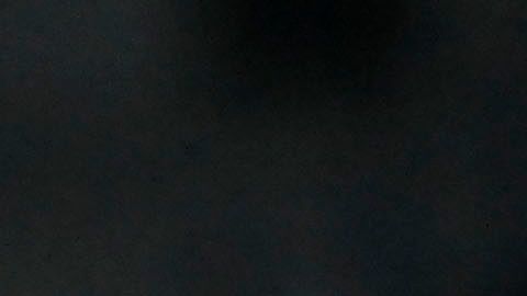 El América buscará la estrella 14.