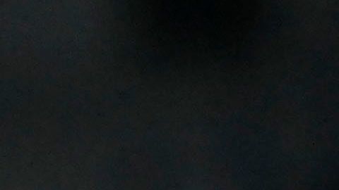 El América buscará la estrella 14.