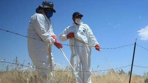 México entierra a su muertos por coronavirus