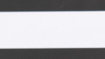 Jorge Bernal y Karla Birbragher.