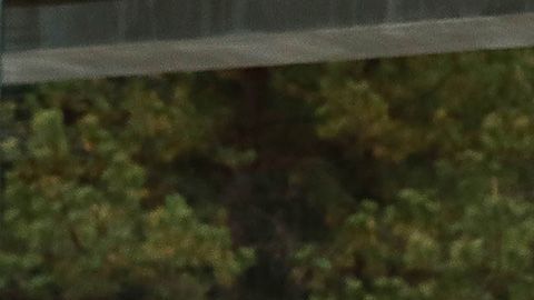 Julio Cesar Chávez Jr injusto