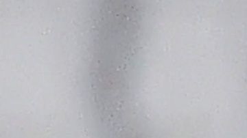 Juventus Campeón de Italia