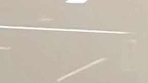 Adelaida Campos Valle, cofundadora y presidenta de la Asociación de Actuarios Latinos en Estados Unidos. (Cortesía Adelaida Campos Valle)