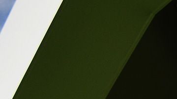 Lewis Hamiltón y su perro