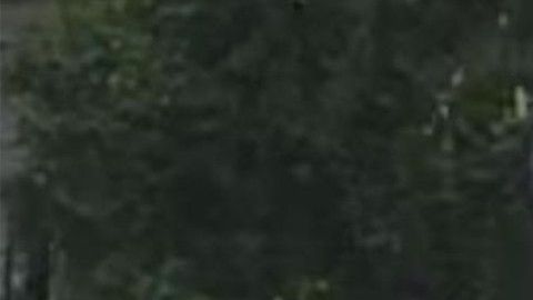 Lucio Pecher Guarcax