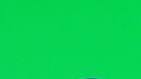 Luisito comunica Memo Ochoa