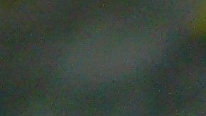 Una marmota saboreó su rebanada de pizza.