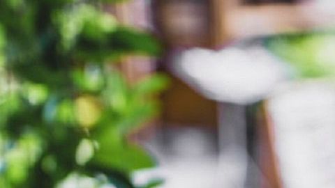 No deseches la piel de la manzana ya que eliminas gran parte de la fibra