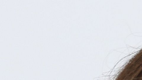 La primera dama Melania Trump y Stephanie Winston Wolkoff fueron amigas durante 15 años.