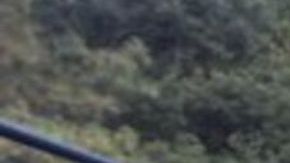 Ni los niños se salvan de los narcos, mataron a 5, uno de ellos aún en el vientre e hirieron a otros 6