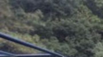 Ni los niños se salvan de los narcos, mataron a 5, uno de ellos aún en el vientre e hirieron a otros 6