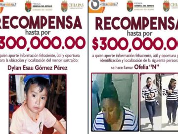 Todo México busca a Ofelia “N”, la presunta mujer que se robó al pequeño Dylan Esaú