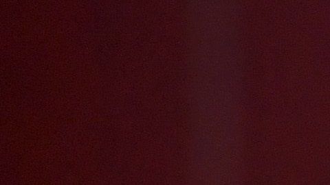 Pepe Aguilar gusta de subir fotos a sus redes sociales con Chapulín, su mascota.