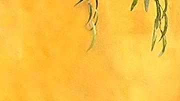 La fotógrafa y artista Olivia Barrionuevo creó las mascarillas de colección del proyecto Monarca. (Barrionuevo Studios)