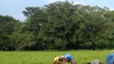 La atracción de inversión extranjera a México como opción de China es una realidad.