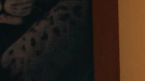 Patafunk estrenó 'High Life!', un disco en el que no se limitó para incluir ritmos. Foto: Cortesía