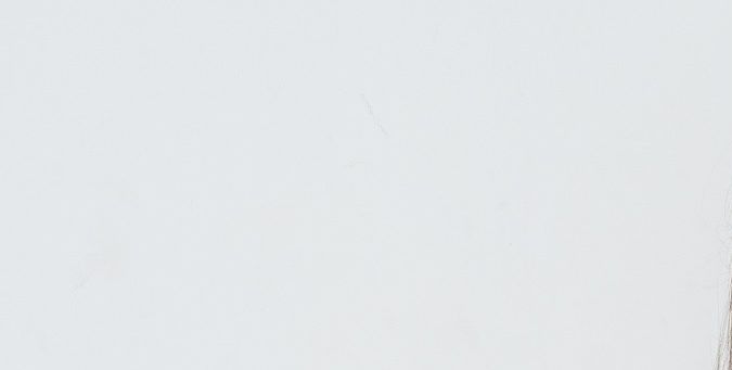 Vestidos para una quinceañera veraniega.