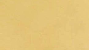 Rocío Solís resultó positiva a Covid y no presentó ningún síntoma.