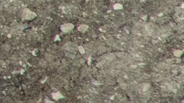 Se cree que el esqueleto encontrado en Inglaterra fue víctima de un asesinato.