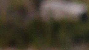 Photo © 2020 Splash News/The Grosby Group

Brazilian model Suelyn Medeiros stuns as she shows off her curves in a bright red bikini in Malibu on a hot sunny day. Suelyn was all smiles as she took photos of herself as she relaxed on the sand and walked to the water for a dip.