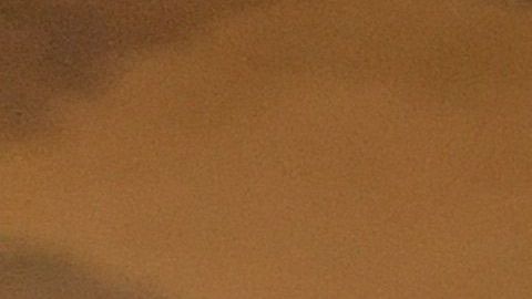 Personas de varios estados reportan haber recibido las semillas.