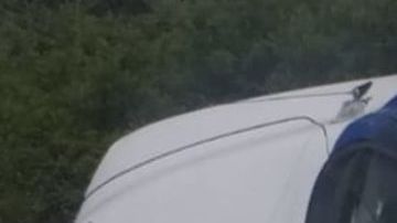 Sicarios así dejaron patrulla de policías tras atacarlos a balazos; 5 agentes murieron