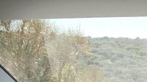 Interior del Tesla Model 3.
Crédito: Cortesía Tesla.