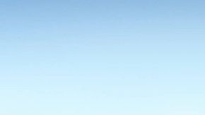 Tesla Model S. / Foto: Cortesía Tesla.