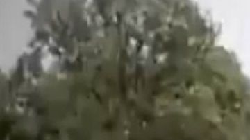 VIDEO: Grupo Élite del CJNG lanza amenazas con bazuca en mano en contra del Marro