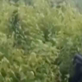 VIDEO: "Esto les va a pasar a los que no se alineen con nosotros", amenazan narcos