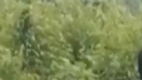 VIDEO: "Esto les va a pasar a los que no se alineen con nosotros", amenazan narcos