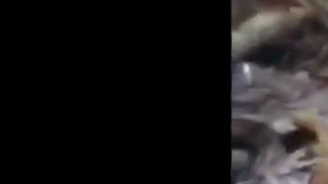 VIDEO: Narcos cuelgan, torturan y asesinan sin piedad a jovencito