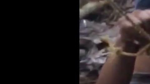 VIDEO: Narcos cuelgan, torturan y asesinan sin piedad a jovencito