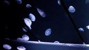 El depósito se eleva desde el nivel del suelo en una habitación semioscura.