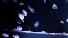 El depósito se eleva desde el nivel del suelo en una habitación semioscura.