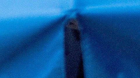 Coronavirus en Florida