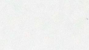 Legisladores demócratas apuestan por otro pago único de $1,200.