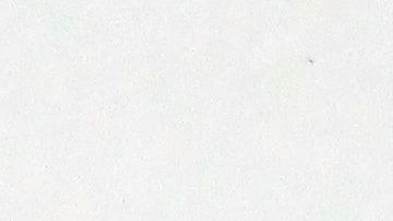 Legisladores demócratas apuestan por otro pago único de $1,200.