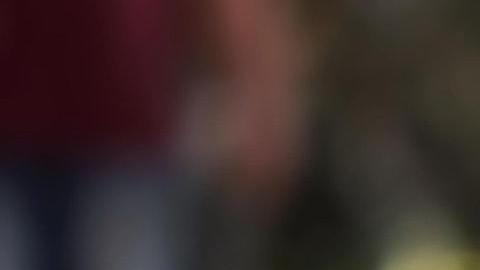 El animal que define a los Escorpión es el perro.